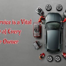 Car Service Car Owner